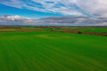 AERIAL ART - FIELD OF TURF - Niederkassel - Germany 1 AERIAL ART - FIELD OF TURF - Niederkassel - Germany 1.jpg