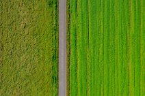 AERIAL ART - farm road through the green - Niederkassel - Germany 01