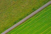 AERIAL ART - farm road through the green - Niederkassel - Germany 02
