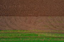 AERIAL ART - partially plowed field - Niederkassel - Germany AERIAL ART - partially plowed field - Niederkassel - Germany.jpg