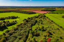 AERIAL ART - view across the fields and autumnal trees - near Niederkassel - Germany