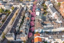 AERIAL ART - CHERRY BLOSSOM 2021 in Old City BONN - Germany 74 AERIAL ART - CHERRY BLOSSOM 2021 in Old City BONN - Germany 74.jpg