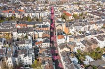 AERIAL ART - CHERRY BLOSSOM 2021 in Old City BONN - Germany 76 AERIAL ART - CHERRY BLOSSOM 2021 in Old City BONN - Germany 76.jpg
