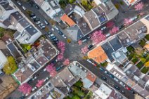 AERIAL ART - CHERRY BLOSSOM 2021 in Old City BONN - Germany 78 AERIAL ART - CHERRY BLOSSOM 2021 in Old City BONN - Germany 78.jpg