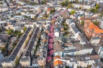 AERIAL ART - CHERRY BLOSSOM 2021 in Old City BONN - Germany 81 AERIAL ART - CHERRY BLOSSOM 2021 in Old City BONN - Germany 81.jpg