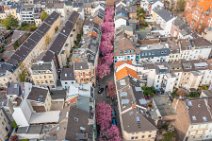 AERIAL ART - CHERRY BLOSSOM 2021 in Old City BONN - Germany 84 AERIAL ART - CHERRY BLOSSOM 2021 in Old City BONN - Germany 84.jpg