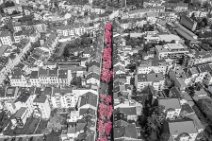 COLORSPOT AERIAL ART - CHERRY BLOSSOM IN OLD TOWN BONN - GERMANY 03 COLORSPOT AERIAL ART - CHERRY BLOSSOM IN OLD TOWN BONN - GERMANY 03.jpg