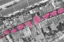 COLORSPOT AERIAL ART - CHERRY BLOSSOM IN OLD TOWN BONN - GERMANY 09 COLORSPOT AERIAL ART - CHERRY BLOSSOM IN OLD TOWN BONN - GERMANY 09.jpg
