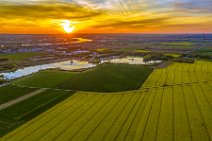 AERIAL ART - rapeseed field and flooded gravel pit with Niederkassel and Rhine river in the back during sunset - Germany 01 AERIAL ART - rapeseed field and flooded gravel pit with Niederkassel and Rhine river in the back during sunset - Germany 01