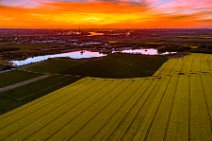 AERIAL ART - rapeseed field and flooded gravel pit with Niederkassel and Rhine river in the back during sunset - Germany 04 AERIAL ART - rapeseed field and flooded gravel pit with Niederkassel and Rhine river in the back during sunset - Germany 04