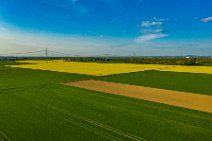 AERIAL ART - rapeseed fields around Niederkassel - Germany 02 AERIAL ART - rapeseed fields around Niederkassel - Germany 02