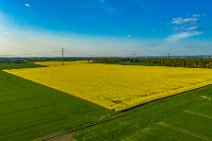 AERIAL ART - rapeseed fields around Niederkassel - Germany 03 AERIAL ART - rapeseed fields around Niederkassel - Germany 03