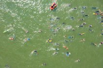 AERIAL ART - Rheinschwimmen Bad Honnef - Linz 27