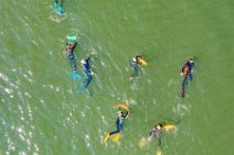 AERIAL ART - Rheinschwimmen Bad Honnef - Linz 56