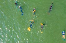 AERIAL ART - Rheinschwimmen Bad Honnef - Linz 57