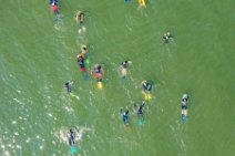 AERIAL ART - Rheinschwimmen Bad Honnef - Linz 59