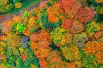 AERIAL ART - Trees with autumn leaves - Siebengebirge - Koenigswinter - Germany 1 AERIAL ART - Trees with autumn leaves - Siebengebirge - Koenigswinter - Germany 1.jpg