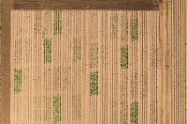 AERIAL ART - Field with test plantings - Troisdorf 05 AERIAL ART - Field with test plantings - Troisdorf 05.jpg