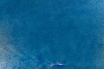 AERIAL ART - Kayaker on a lake - Troisdorf - Germany 2 AERIAL ART - Kayaker on a lake - Troisdorf - Germany 2.jpg