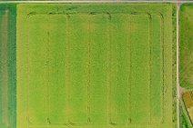 AERIAL ART - grain field with tracks - Troisdorf 1 AERIAL ART - grain field with tracks - Troisdorf 1.jpg