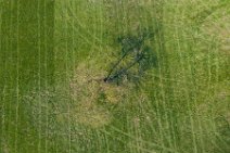 AERIAL ART - Tree on a meadow - Germany 1 AERIAL ART - Tree on a meadow - Germany 1