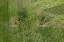 AERIAL ART - Tree on a meadow - Germany 2 AERIAL ART - Tree on a meadow - Germany 2