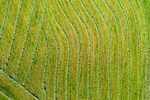 AERIAL ART - MOWN MEADOW - Lohmar - Germany AERIAL ART - MOWN MEADOW - Lohmar - Germany