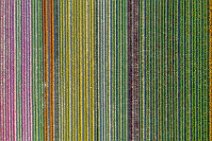 AERIAL ART - colorful tulip fields - Lower Rhine region - Germany 45 AERIAL ART - colorful tulip fields - Lower Rhine region - Germany 45