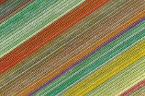 AERIAL ART - colorful tulip fields in the Lower Rhine region - Germany 28 AERIAL ART - colorful tulip fields in the Lower Rhine region - Germany 28.jpg