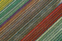 AERIAL ART - colorful tulip fields in the Lower Rhine region - Germany 45 AERIAL ART - colorful tulip fields in the Lower Rhine region - Germany 45.jpg