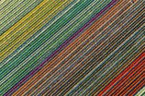 AERIAL ART - colorful tulip fields in the Lower Rhine region - Germany 46 AERIAL ART - colorful tulip fields in the Lower Rhine region - Germany 46.jpg