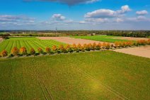AERIAL ART - tree-lined street in autumn light - near Moenchengladbach - Germany 01 AERIAL ART - tree-lined street in autumn light - near Moenchengladbach - Germany 01.jpg