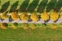 AERIAL ART - tree-lined street in autumn light - near Moenchengladbach - Germany 02 AERIAL ART - tree-lined street in autumn light - near Moenchengladbach - Germany 02.jpg