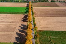 AERIAL ART - tree-lined street in autumn light - near Moenchengladbach - Germany 03 AERIAL ART - tree-lined street in autumn light - near Moenchengladbach - Germany 03.jpg