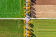 AERIAL ART - tree-lined street in autumn light - near Moenchengladbach - Germany 07 AERIAL ART - tree-lined street in autumn light - near Moenchengladbach - Germany 07.jpg