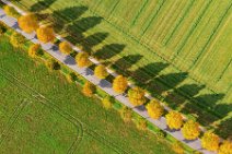 AERIAL ART - tree-lined street in autumn light - near Moenchengladbach - Germany 08 AERIAL ART - tree-lined street in autumn light - near Moenchengladbach - Germany 08.jpg