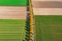 AERIAL ART - tree-lined street in autumn light - near Moenchengladbach - Germany 10 AERIAL ART - tree-lined street in autumn light - near Moenchengladbach - Germany 10.jpg