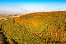 AERIAL ART - Sophienhoehe in autumn colors - near Kerpen - Germany 01 AERIAL ART - Sophienhoehe in autumn colors - near Kerpen - Germany 01.jpg