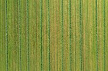 AERIAL ART - mowed grass in lines - near Moenchengladbach - Germany 01 AERIAL ART - mowed grass in lines - near Moenchengladbach - Germany 01.jpg
