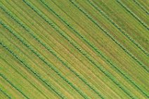 AERIAL ART - mowed grass in lines - near Moenchengladbach - Germany 03 AERIAL ART - mowed grass in lines - near Moenchengladbach - Germany 03.jpg