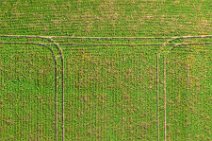 AERIAL ART - tracks in a field - near Moenchengladbach - Germany AERIAL ART - tracks in a field - near Moenchengladbach - Germany.jpg