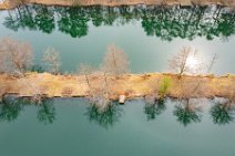 AERIAL ART - trees mirroring in Lake Kahl - Germany 2 DJI_0827.jpg