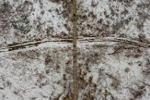 AERIAL ART - Geierley Suspension Bridge - Germany 08 AERIAL ART - Geierley Suspension Bridge - Germany 08.jpg