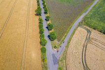 AERIAL ART - thistle field near Grossenbrode - Germany 08 AERIAL ART - thistle field near Grossenbrode - Germany