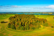 AERIAL ART - Autumn forest near thumby - Germany 02 AERIAL ART - Autumn forest near thumby - Germany 02.jpg