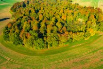 AERIAL ART - Autumn forest near thumby - Germany 03 AERIAL ART - Autumn forest near thumby - Germany 03.jpg