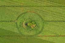 AERIAL ART - field with a little grove - near Thumby - Germany 02 AERIAL ART - field with a little grove - near Thumby - Germany 02.jpg
