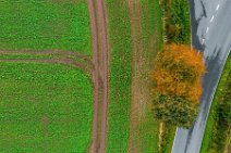 AERIAL ART - fields near Thumby - Germany 02 AERIAL ART - fields near Thumby - Germany 02.jpg