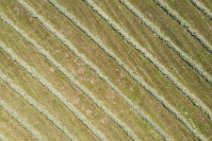 AERIAL ART - hay tracks on a field - Schleswig Flensburg district - Germany 02 AERIAL ART - hay tracks on a field - Schleswig Flensburg district - Germany