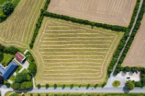 AERIAL ART - hay tracks on a field - Schleswig Flensburg district - Germany 04 AERIAL ART - hay tracks on a field - Schleswig Flensburg district - Germany